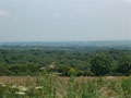 celtic park - view from the ring fort 4.jpg